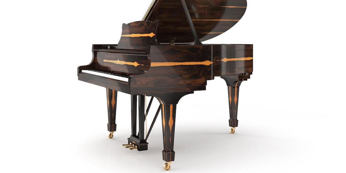 Special Case From Steinway Crown Jewel