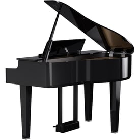 gp-6-back