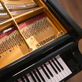 Steinway_Model D_Pins