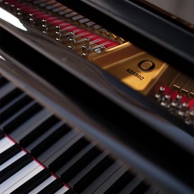 Model O Pins
